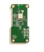 Coral G650-07974-01 Image agrandie