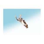 Hirose Connector DF50-3032SCFA Image agrandie