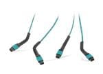 Molex Solutions multi-fibres MTP/MPO FlexiBend