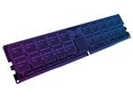 Modules DDR5