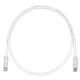Panduit UTPSP19MY